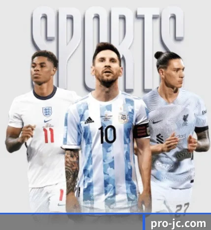 五大服务分区,信息按项目分类